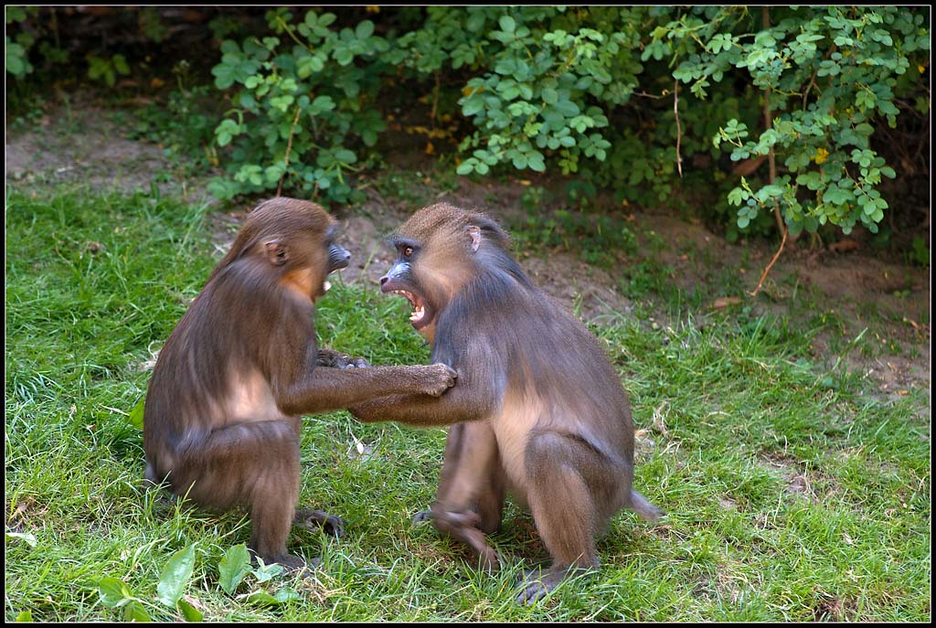 von Angesicht zu Angesicht