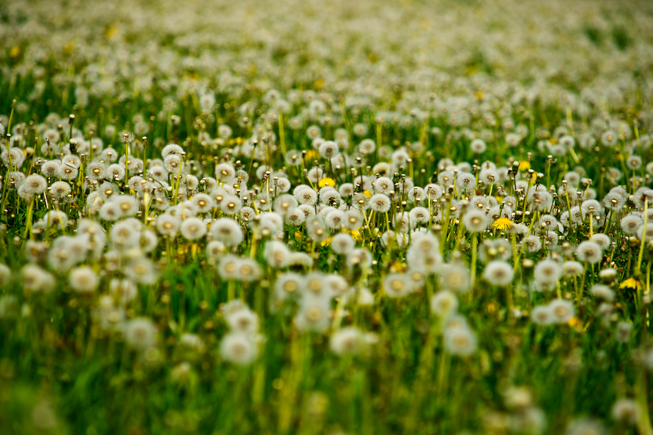 Sächsiche Schweiz 6