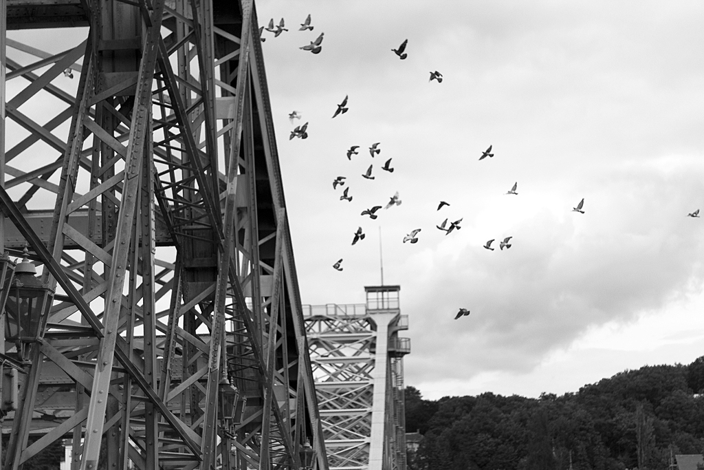 Blaue Wunder - überflug