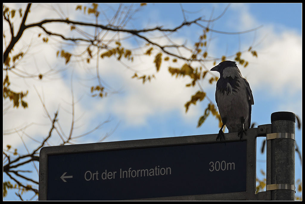 Auf der Suche nach Informationen