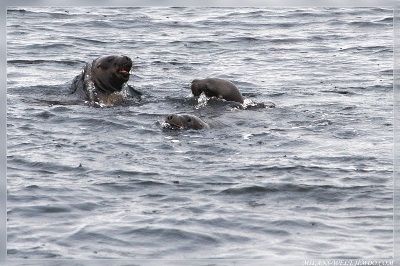 ... baden macht Spass ...