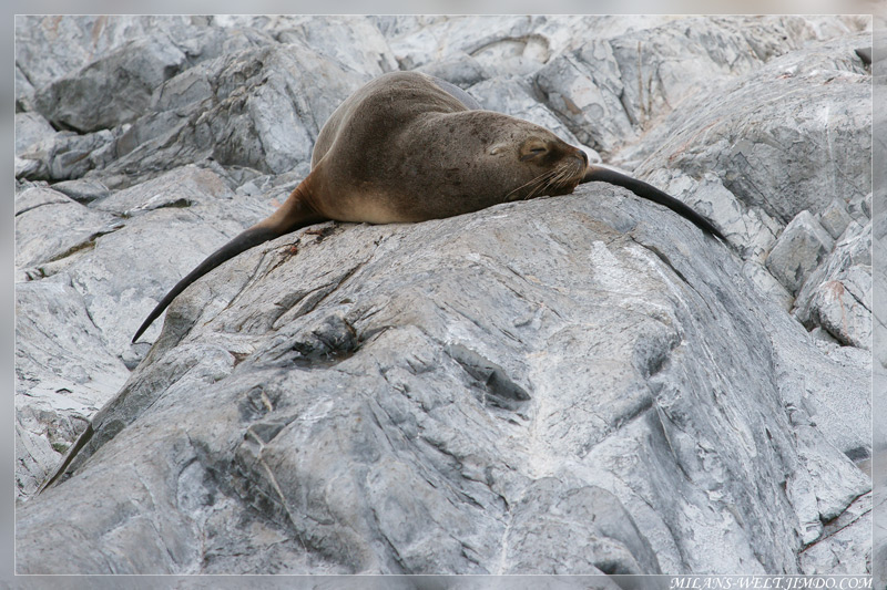 ... i wish i could fly ...