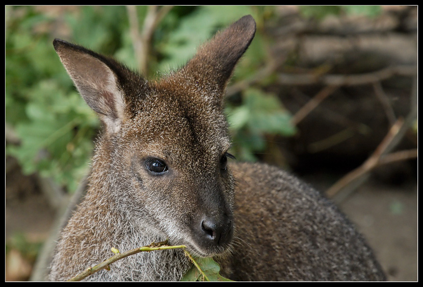 Nochmal das Doing-Doing...