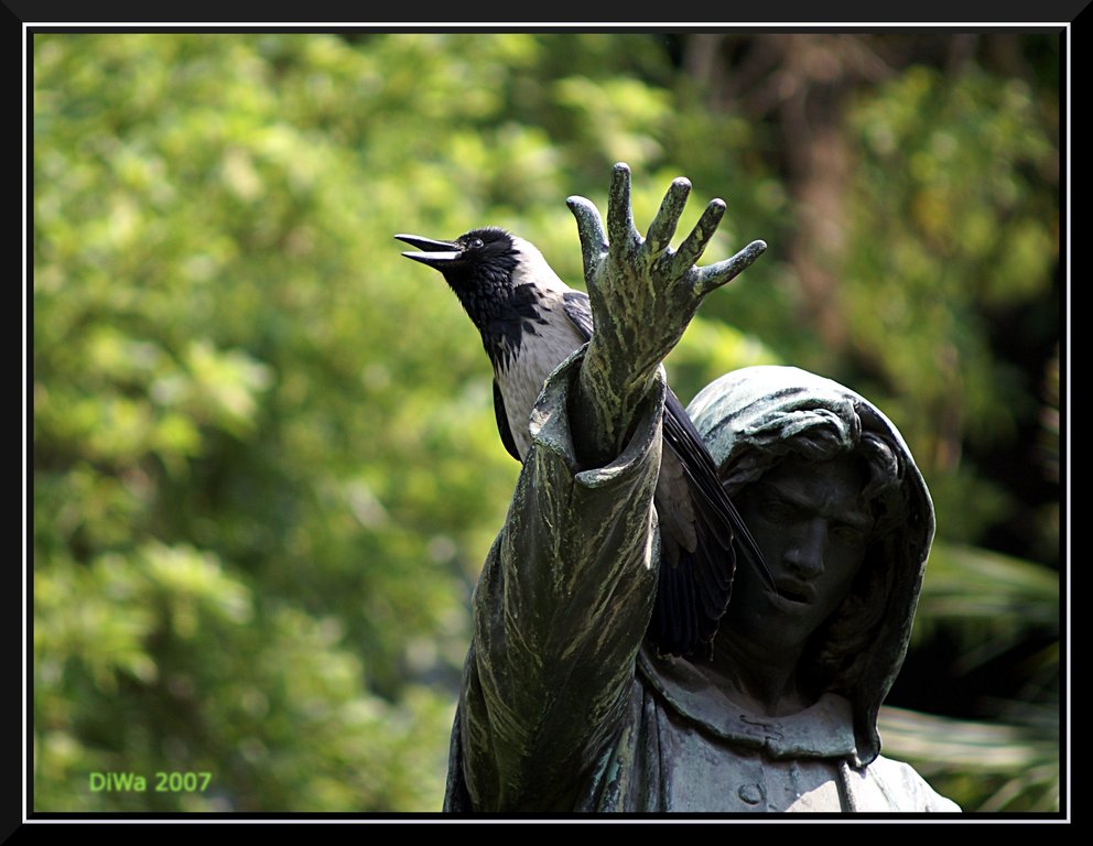 Thus quoth the Raven, nevermore!