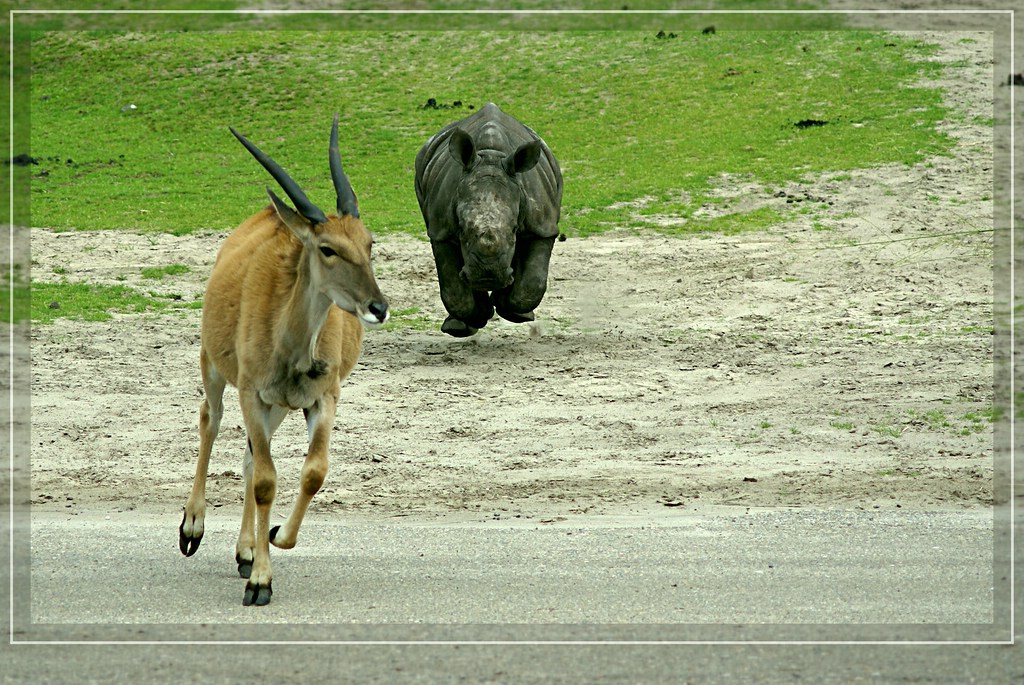 Ich will nur spielen!