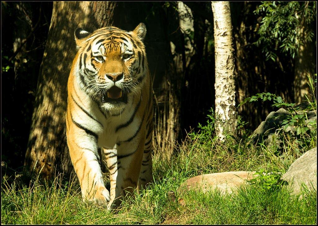 Ich komm gleich rüber...