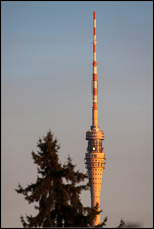 Turm