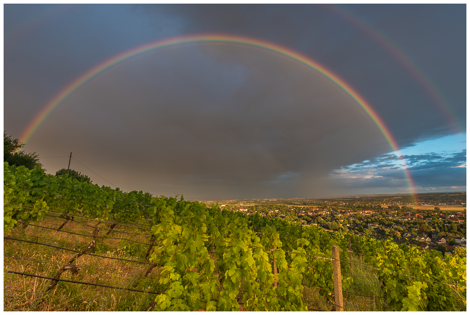 Regenbogen in den Weinbergen
