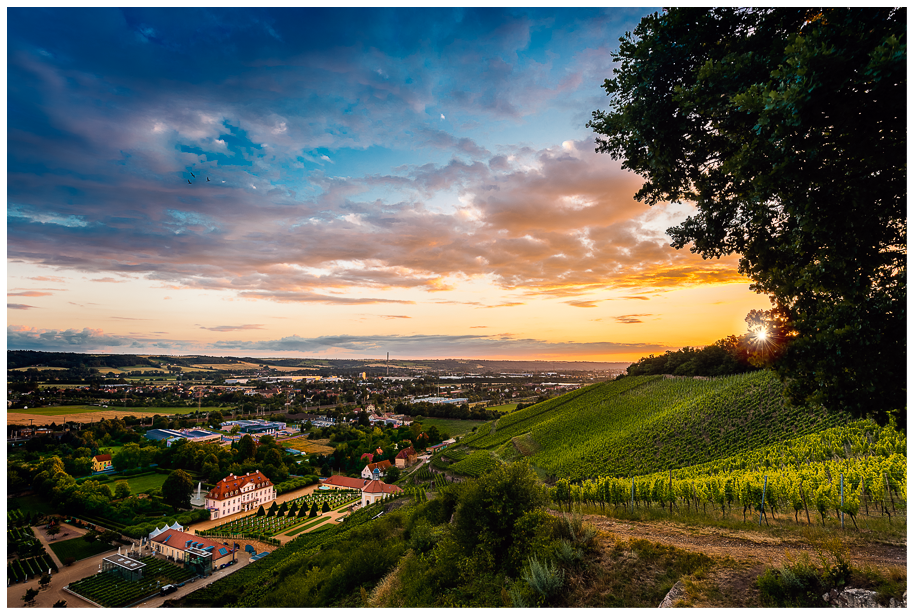 Sunset Schloss Wackerbarth