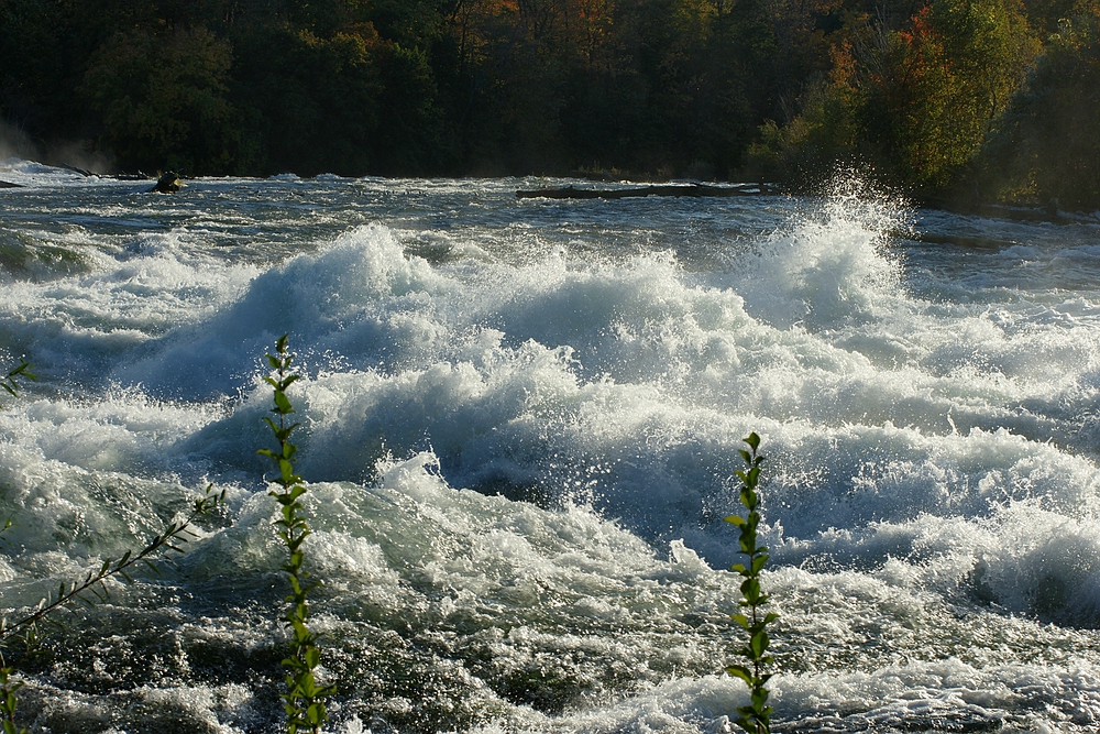 Rund um die Niagarafälle 06