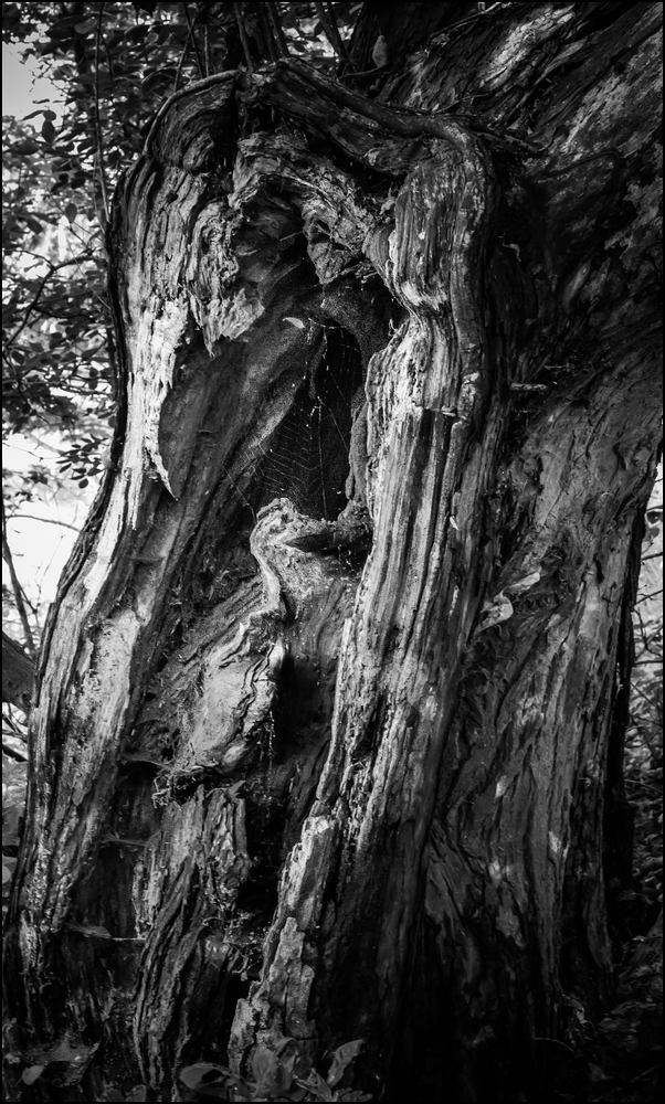 Wanderung am Wahlsonntag