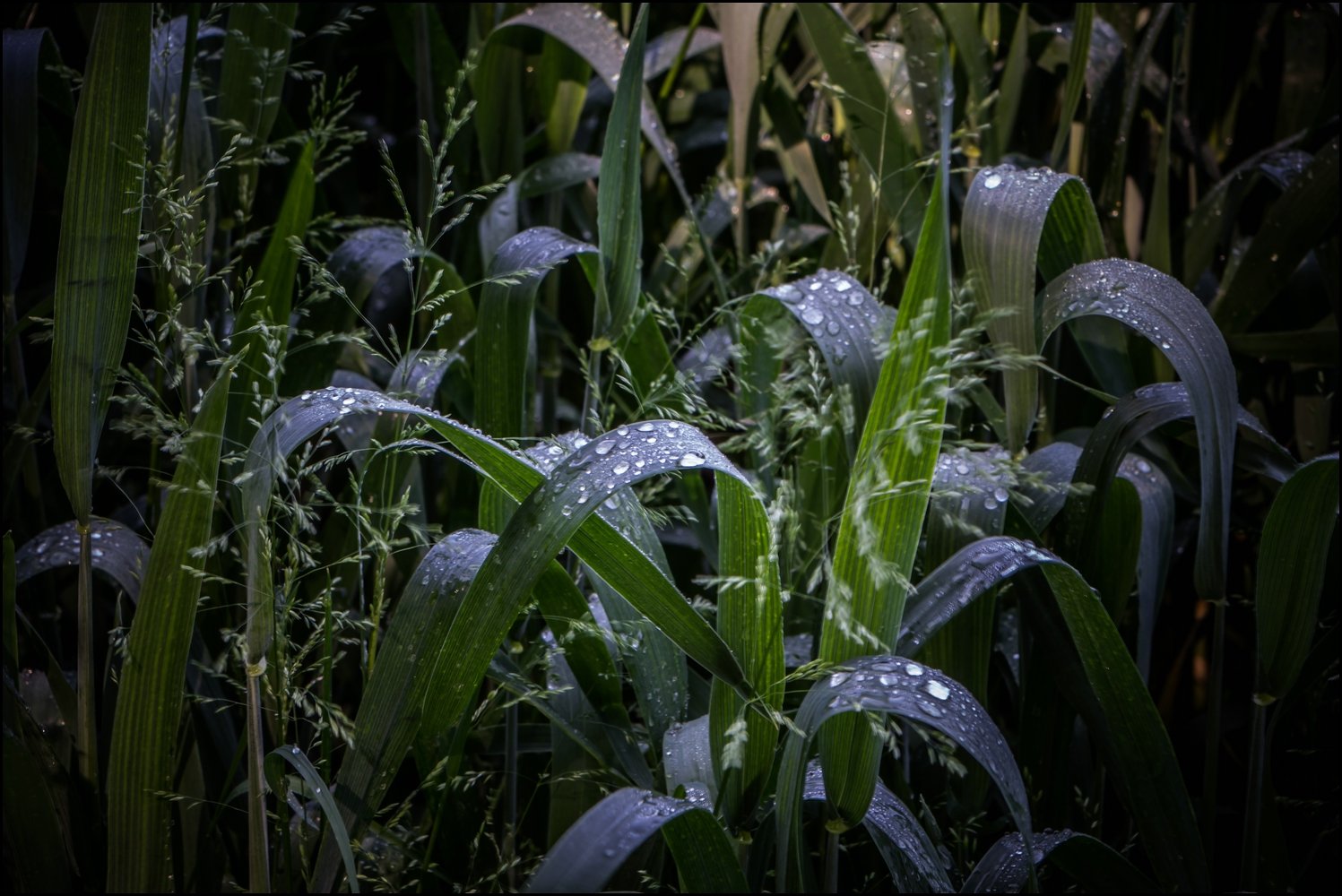 Wanderung am Wahlsonntag
