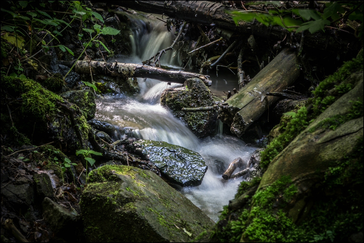 Wanderung am Wahlsonntag