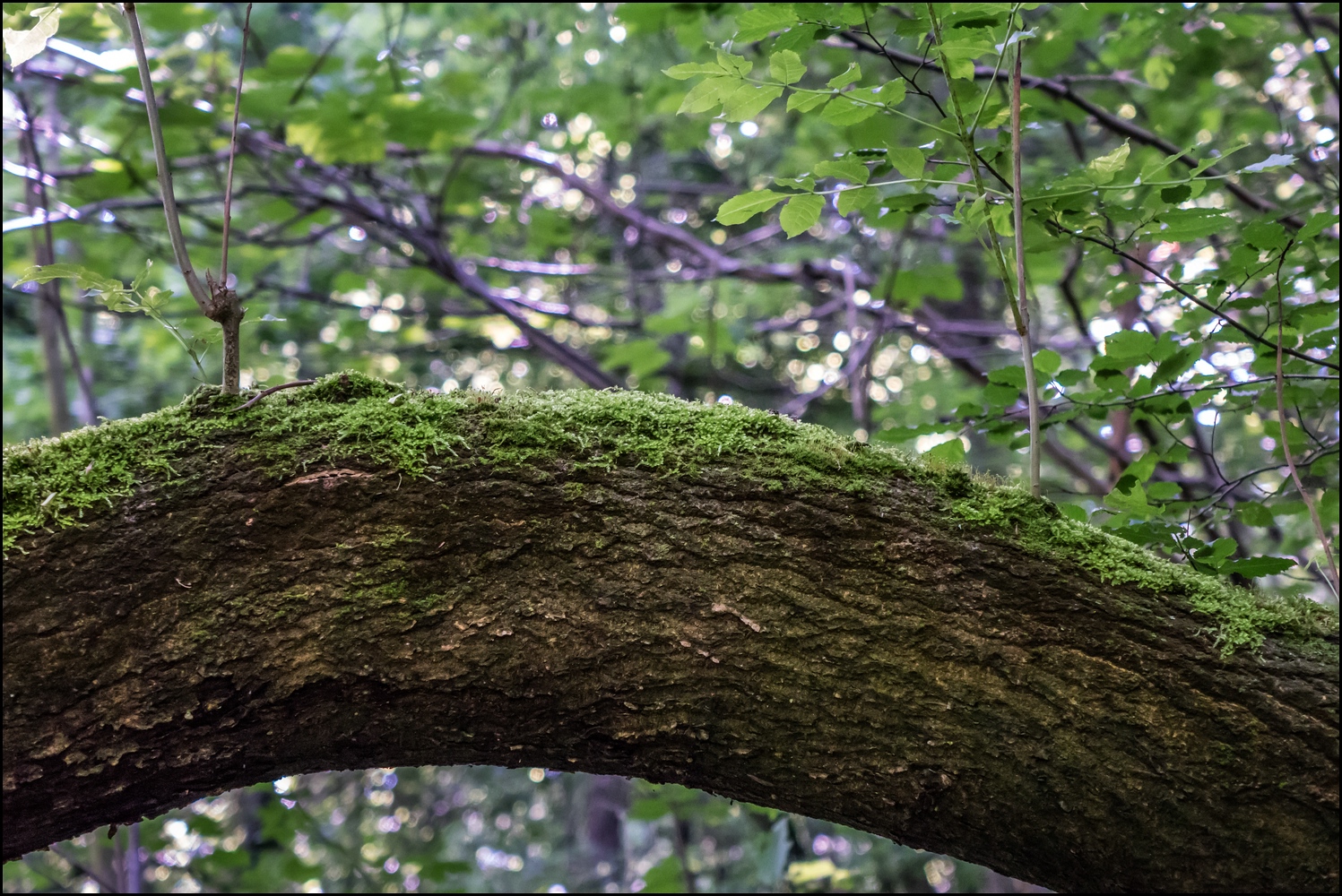 Wanderung am Wahlsonntag