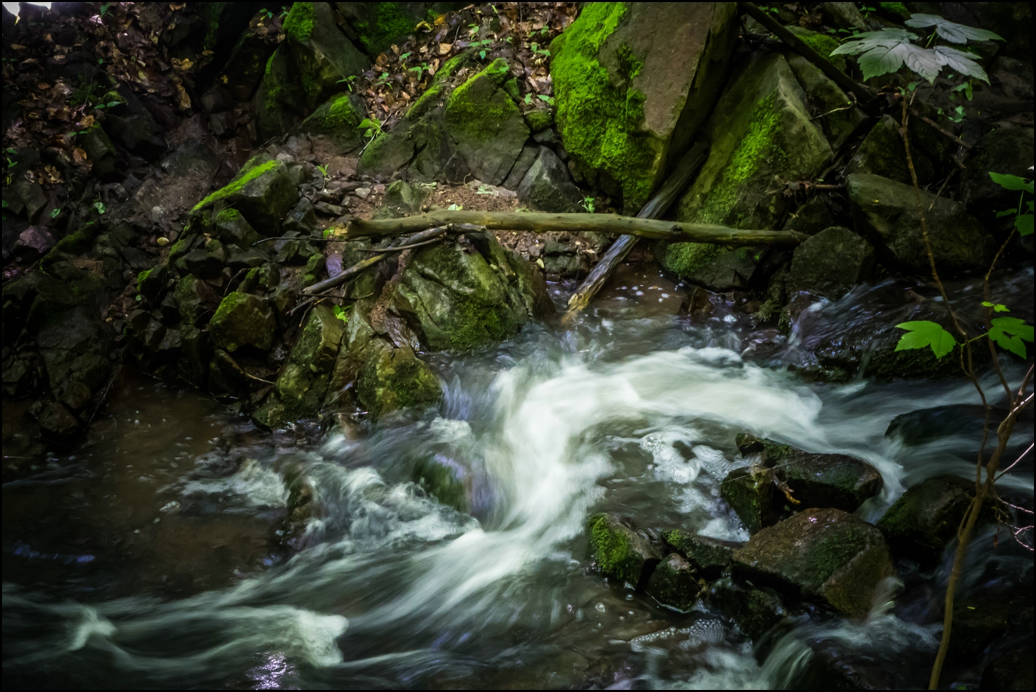 Wanderung am Wahlsonntag