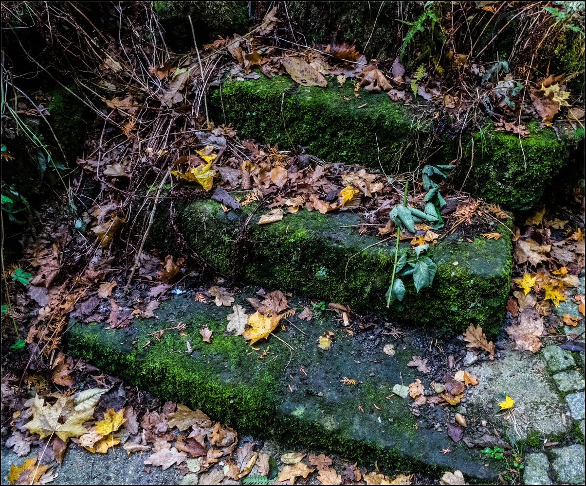 Aufastieg zum Lilienstein