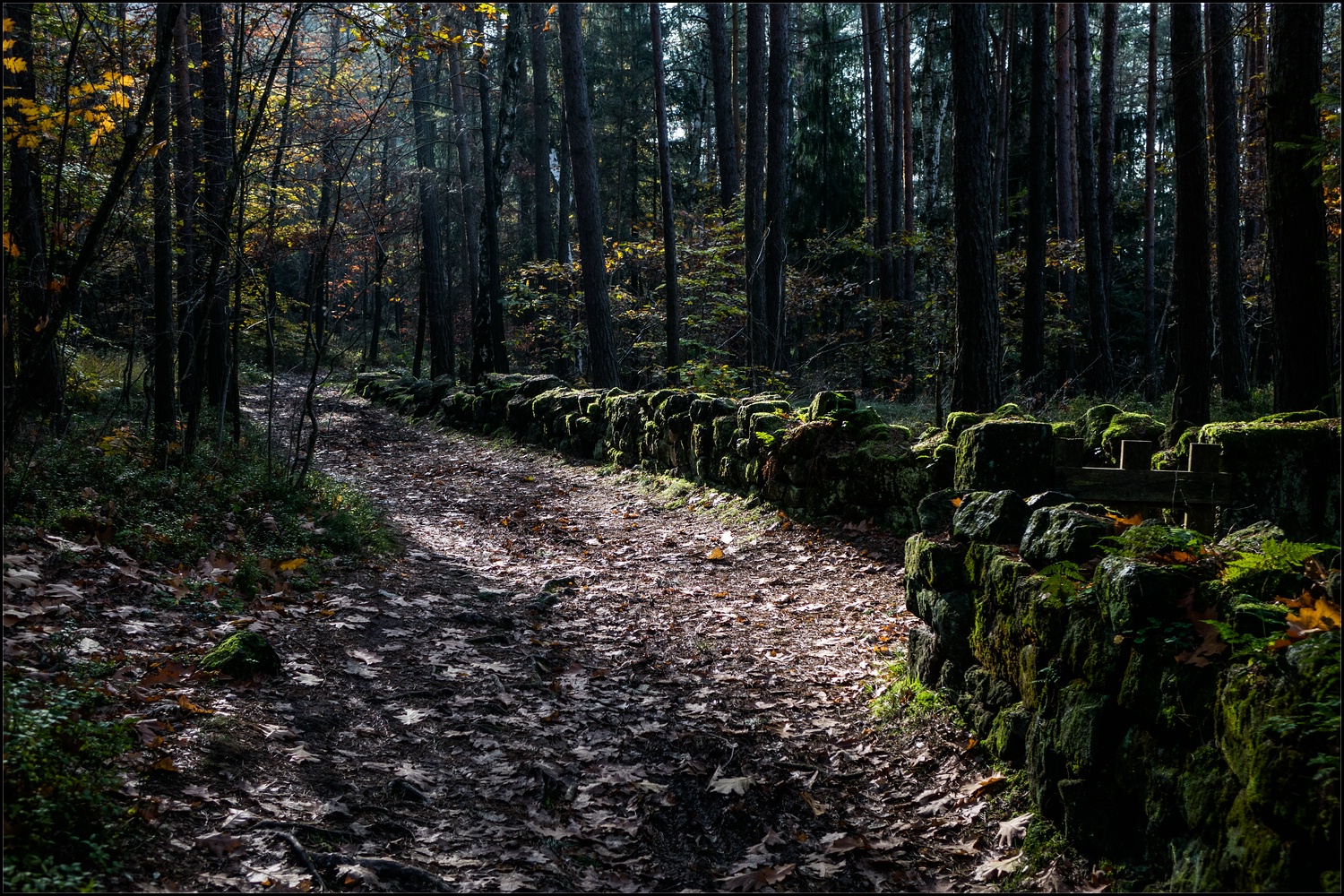 von Rathen nach Königstein