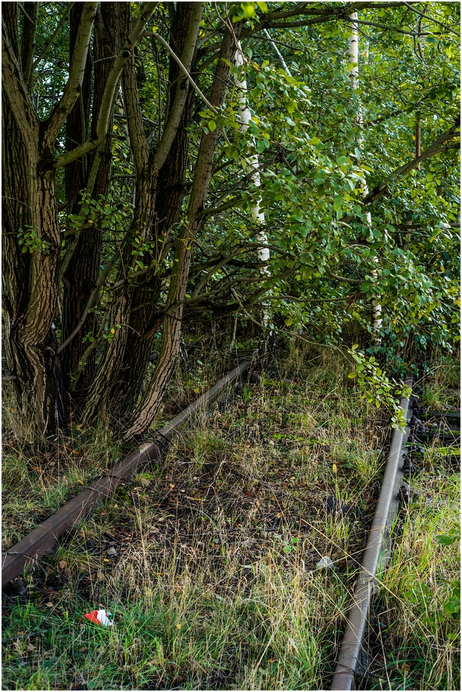 Freiberg und Umgebung_9