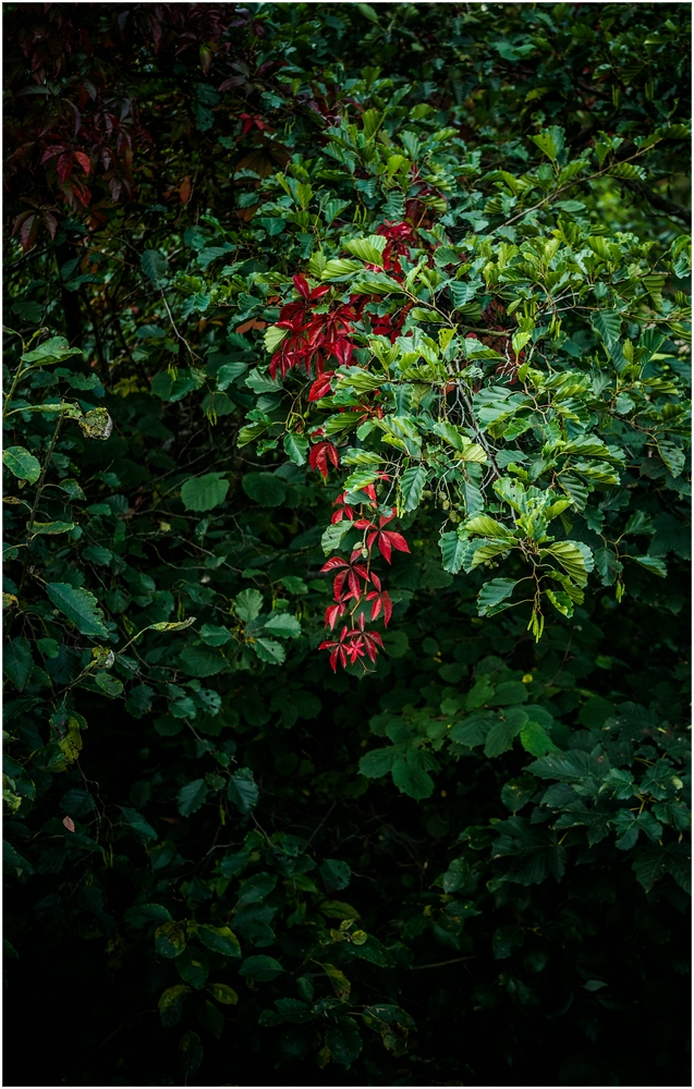 Freiberg und Umgebung_8