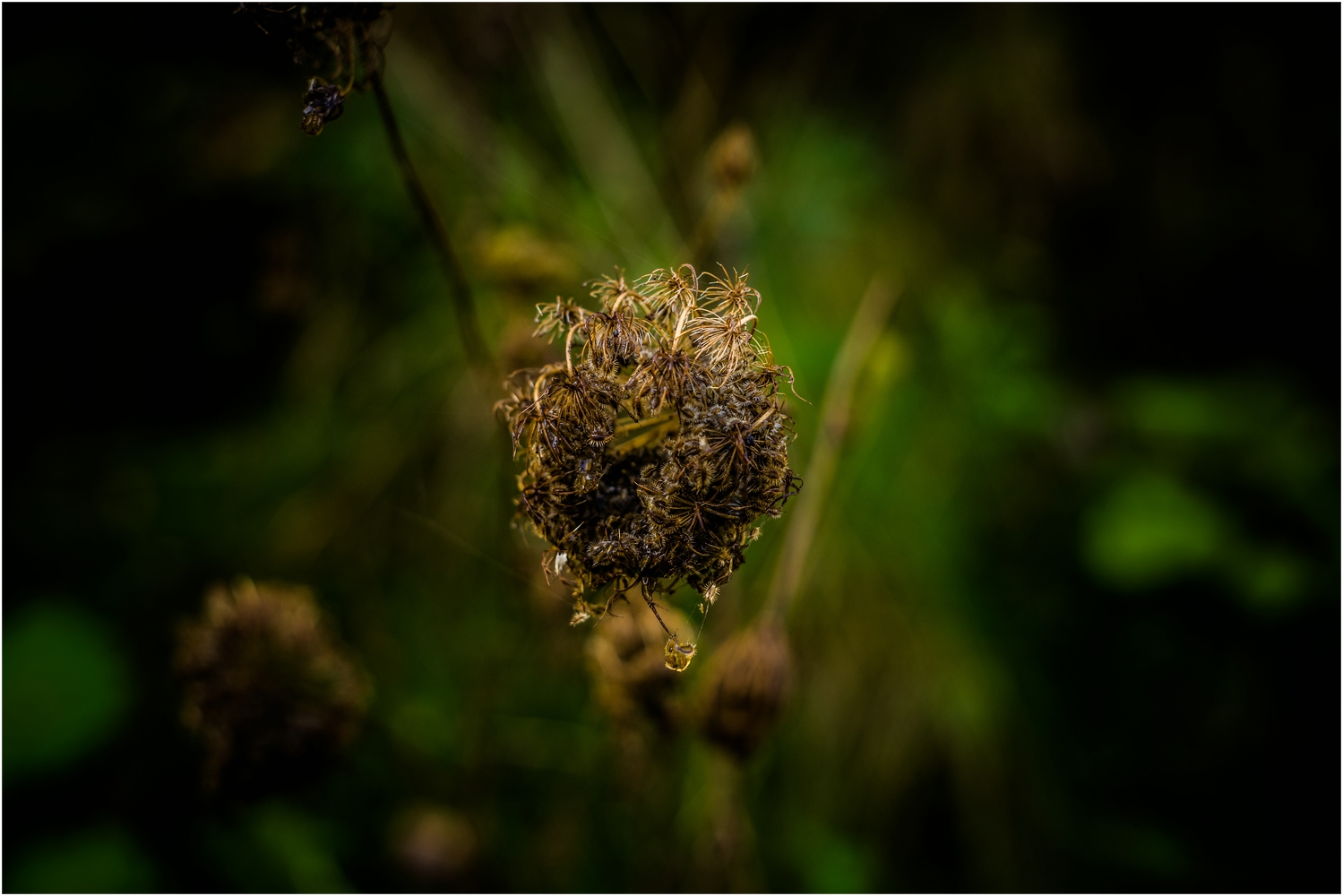 Freiberg und Umgebung_7