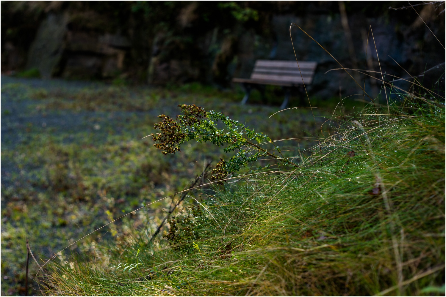 Freiberg und Umgebung_6