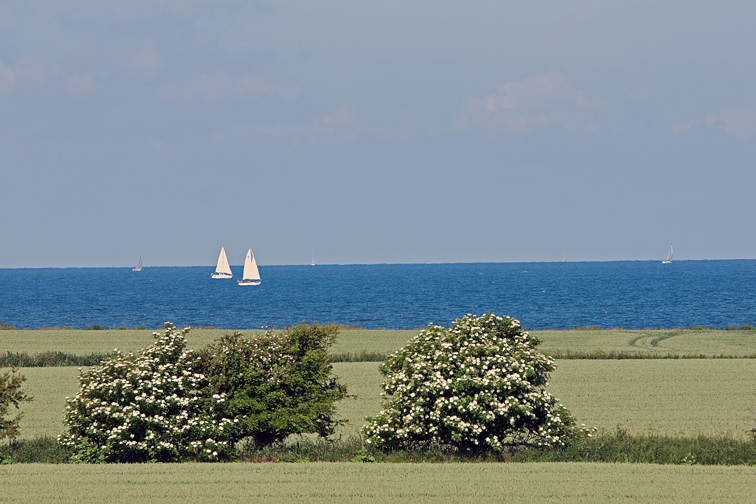 Ostsee