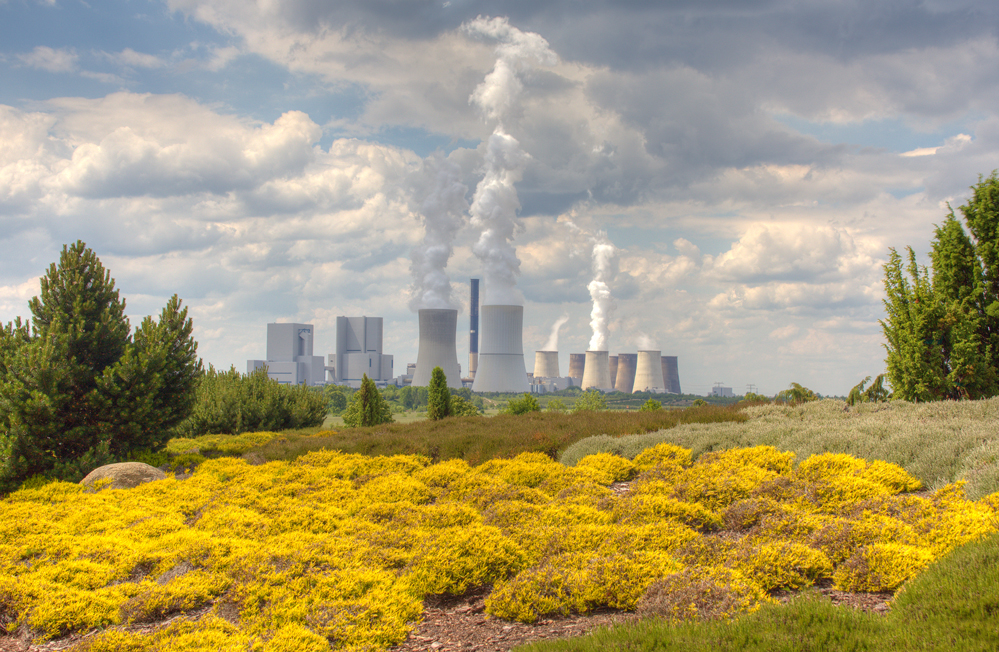 Lausitzer Findlingspark Nochten [10]