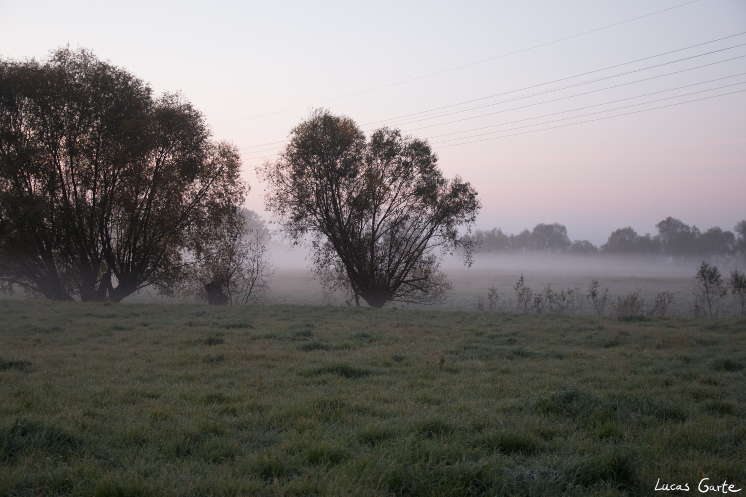 Erster Schnappschuss