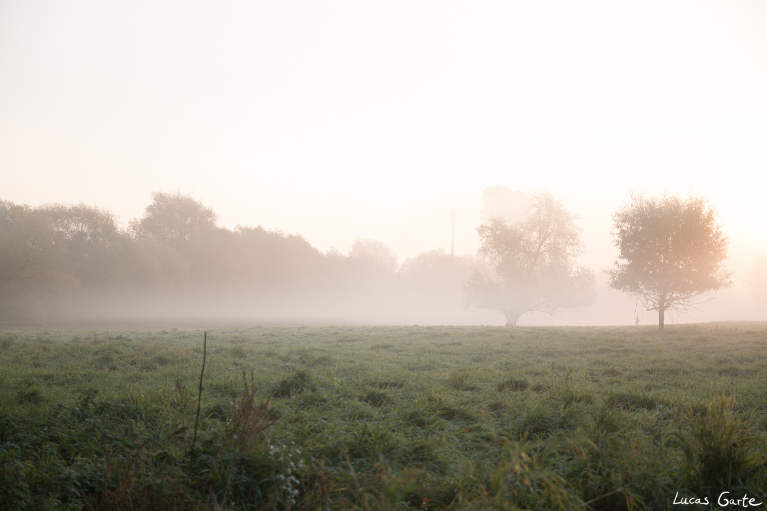 Sichtweitenbegrenzung