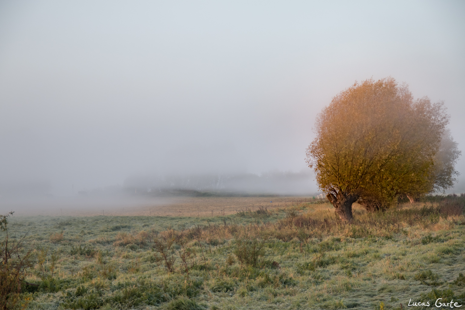 Herbstnebel