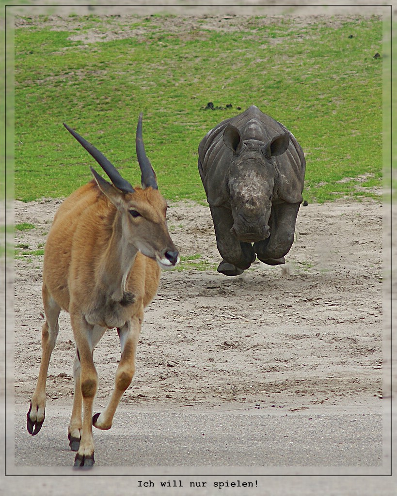 Ich will nur spielen