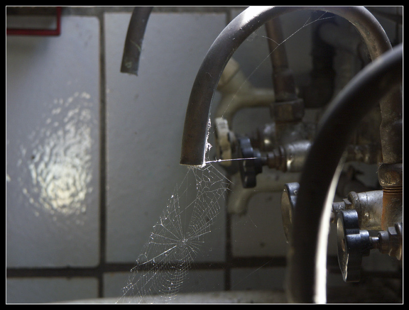 Ordnung und Sauberkeit...