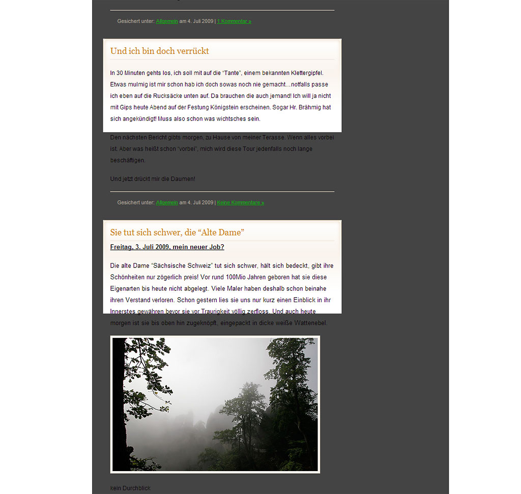 falsche Darstellung meines Blog