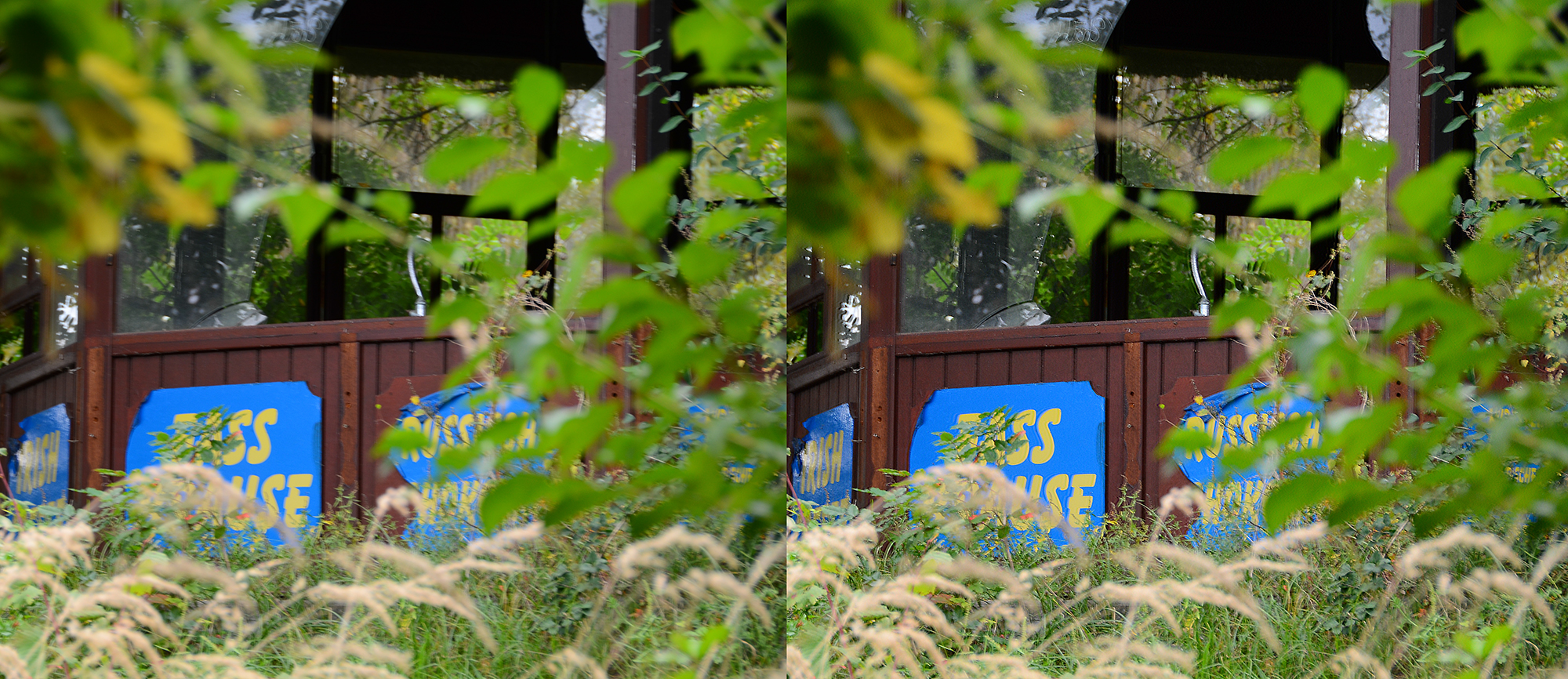 Verwacklungsfilter PS CC