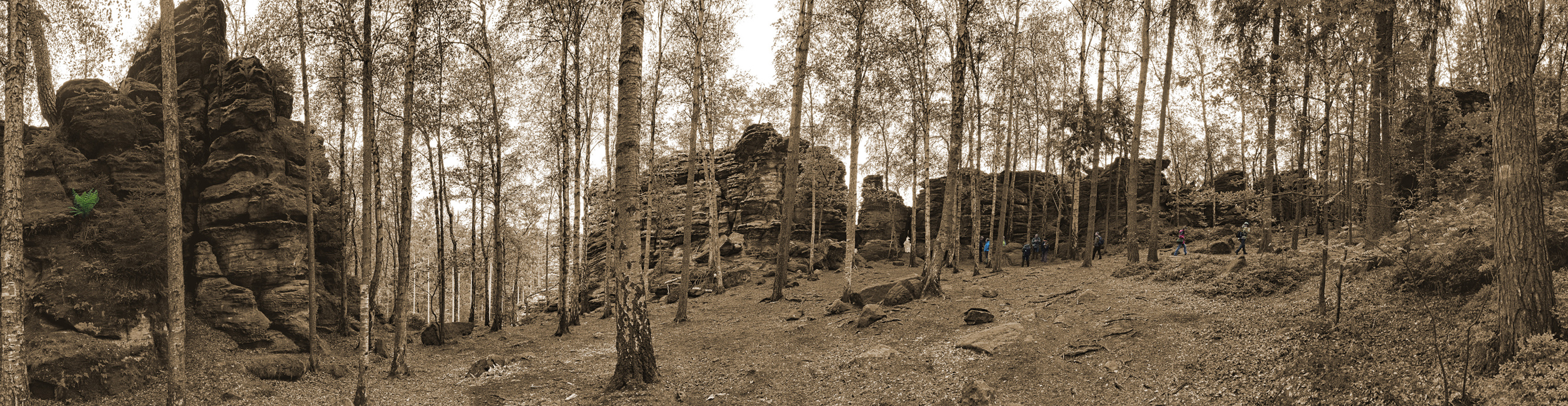 Bielatal Ich find euch... Pano sepia