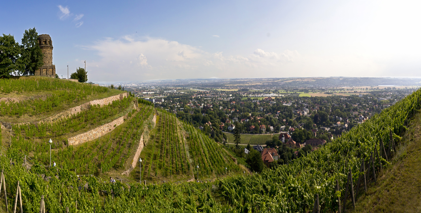Panorana Weinberg Radebeul mit Bismarkturm