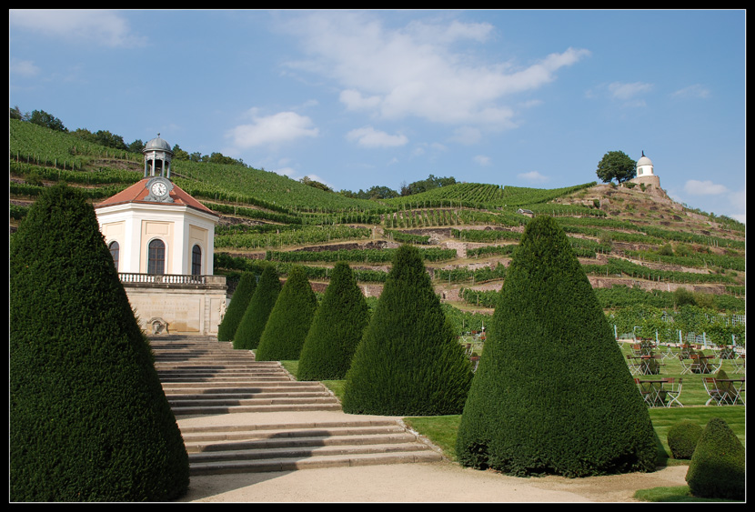 Weinberg meets Parkanlage