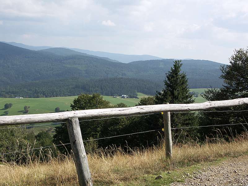 schwarzwald52