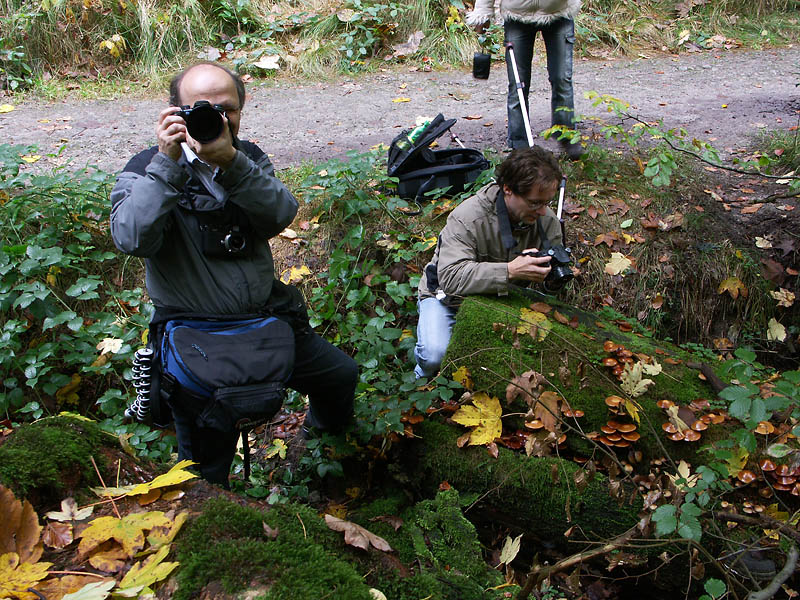 zwei Pilz- und Moosknipser