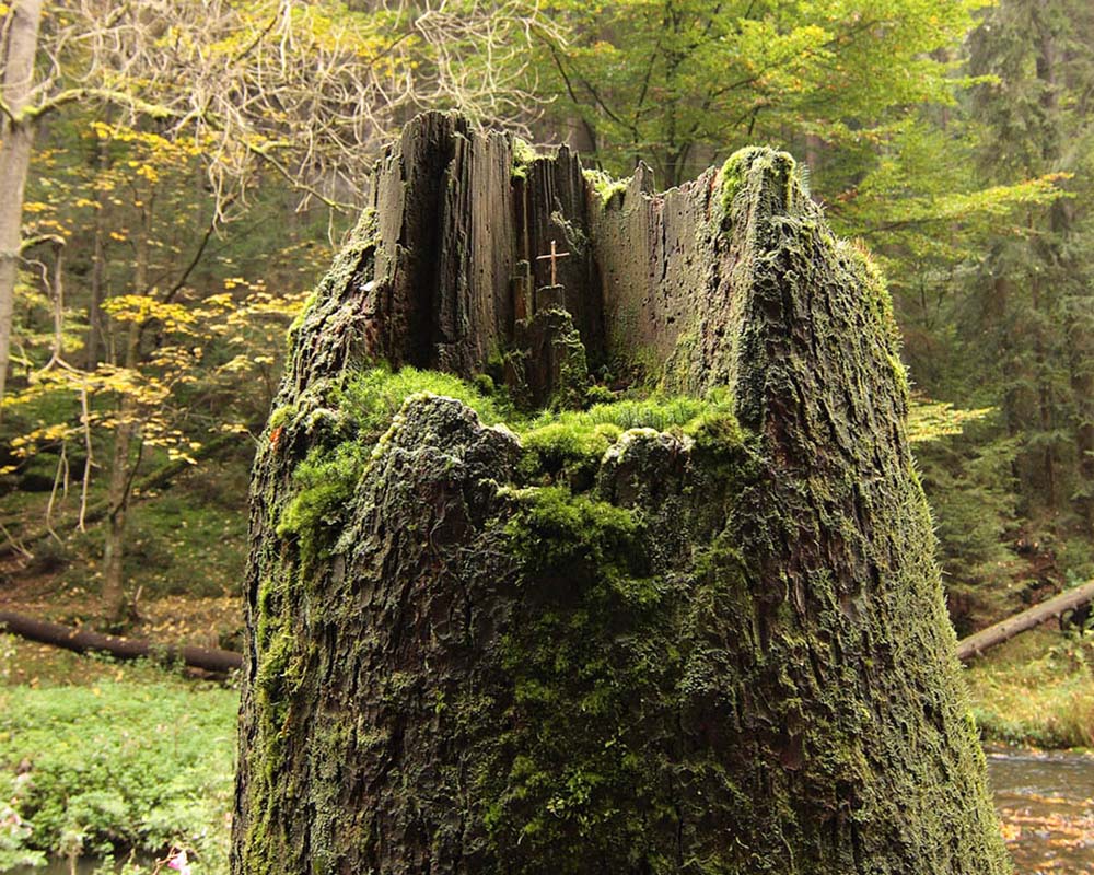 mein Gipfelkreuzchen