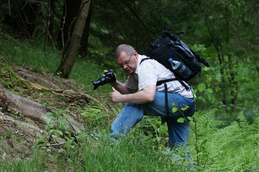 Details am Wegesrand