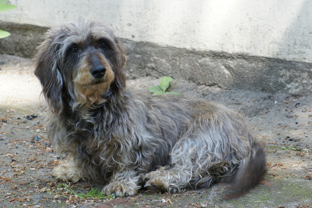 Wer ist das denn ???