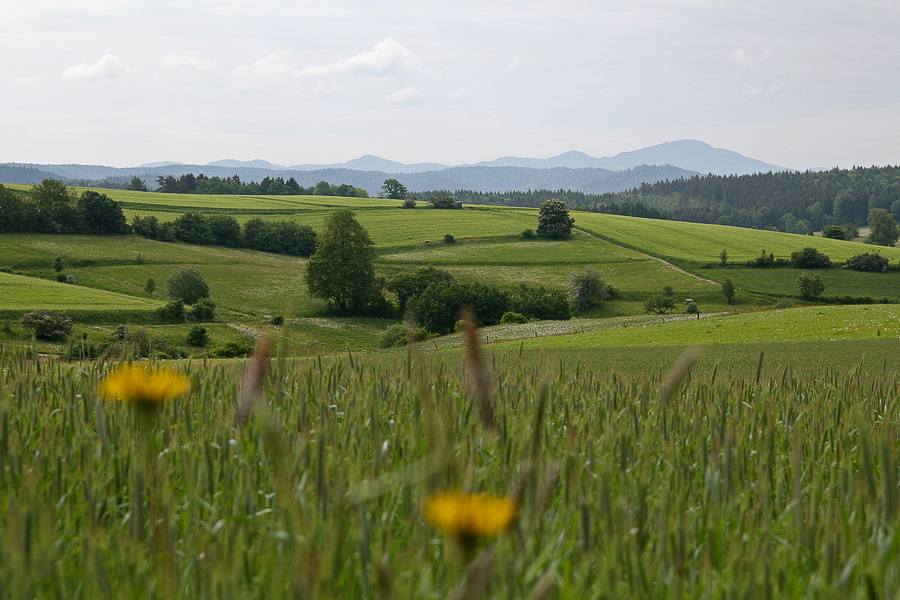 Felder und Wiesen