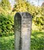 Bild 10 Bild 10