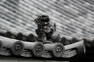 Drache auf dem Tempeldach