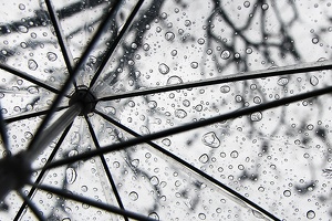 Unter meinem Regenschirm