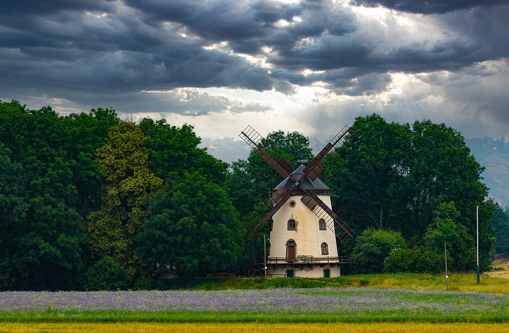 Gohliser Windmühle.jpg