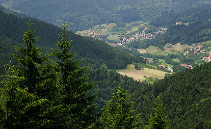 Blog_Idylle_MG_8808 idyllischer Schwarzwald