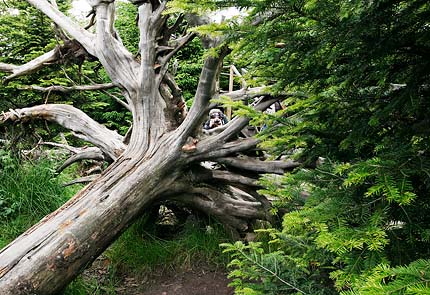 Blog_Lothar_MG_0029 Tod und Leben