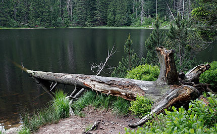 Blog_wilder_See_MG_8757 still ruht der "wilde See"